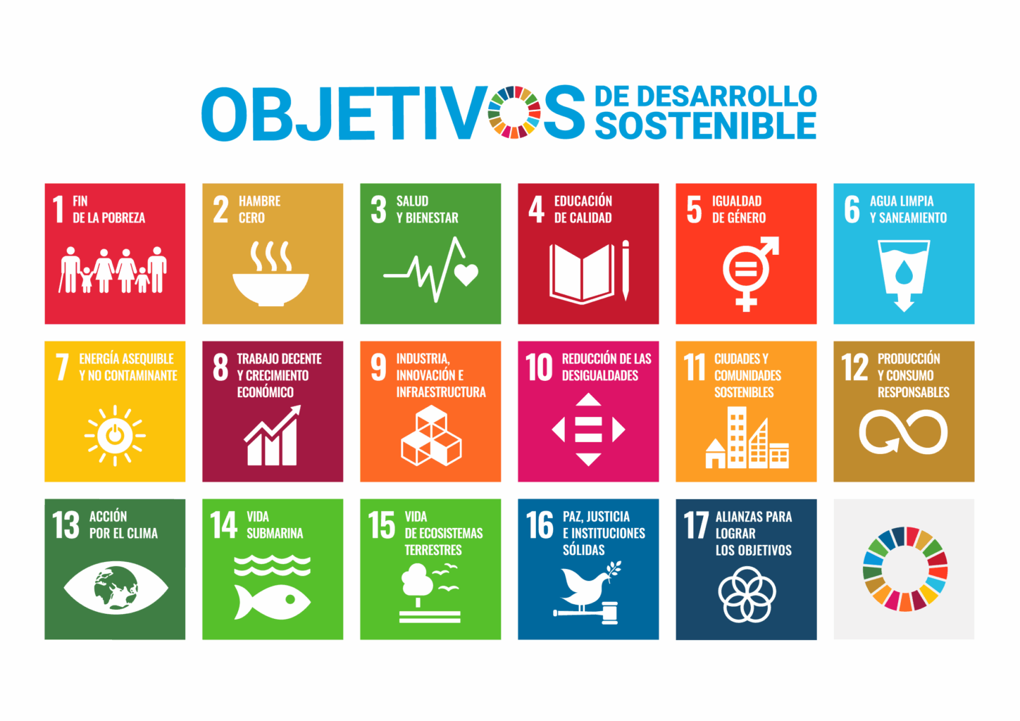 Los 17 ODS de Naciones Unidas, eje formativo de la expedición Bartolomé de las Casas 2026.